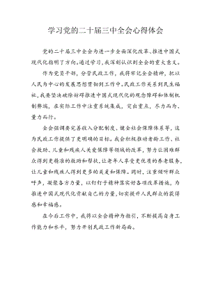 学习2024年学习党的二十届三中全会个人心得感悟 （汇编13份）.docx