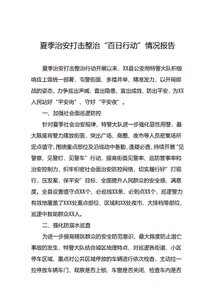 公安2024年夏季治安打击整治行动情况汇报二十二篇.docx