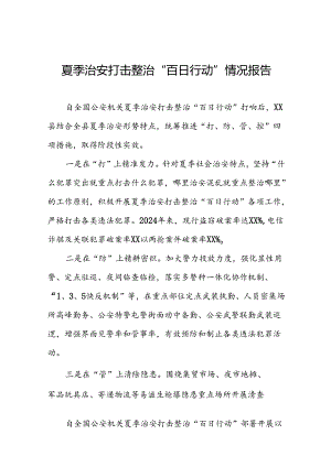 公安夏季治安打击整治“百日行动”进展情况汇报十二篇.docx