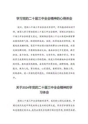 关于2024年党的二十届三中全会精神的学习体会十四篇.docx
