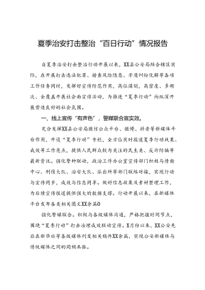 公安2024年夏季治安打击整治行动开展情况报告23篇.docx