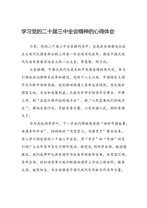 学习贯彻2024年二十届三中全会精神心得感悟精品模板二十七篇.docx
