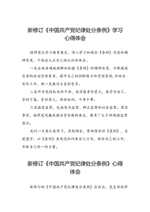 街道开展2024新版中国共产党纪律处分条例心得体会十三篇.docx