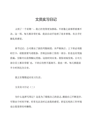 文员实习日记.docx