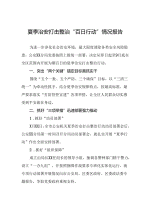 公安关于推进2024年夏季行动工作汇报(13篇).docx