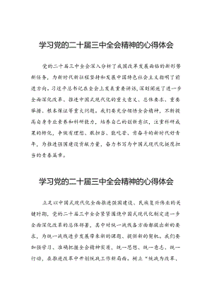 党的二十届三中全会精神学习心得感悟二十六篇.docx