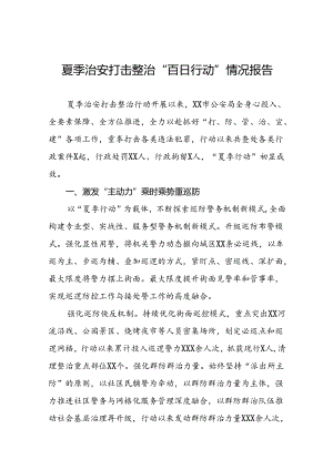 十二篇2024年公安推动夏季治安打击整治行动的情况报告.docx