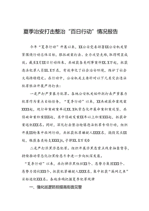 十二篇公安2024年夏季治安打击整治行动总结报告.docx
