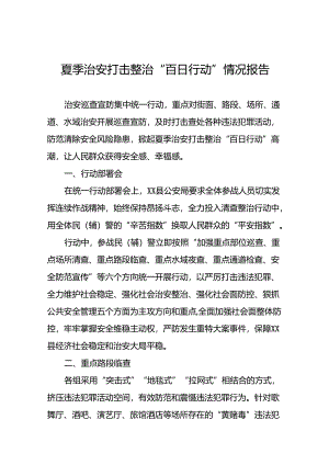 公安2024夏季治安打击整治“百日行动”总结报告三篇.docx
