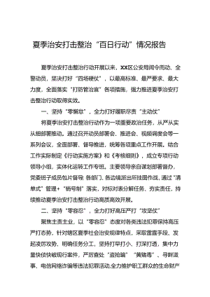 区公安推动2024年夏季治安打击整治行动情况汇报十八篇.docx