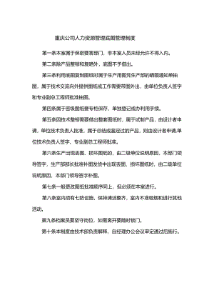 重庆公司人力资源管理底图管理制度.docx