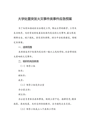 大学处置突发火灾事件类事件应急预案.docx
