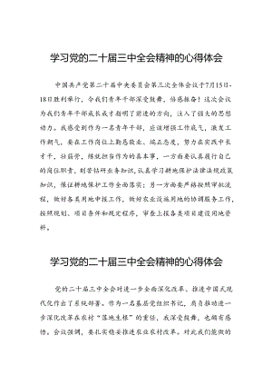 党的二十届三中全会精神的学习感悟精选范文二十六篇.docx