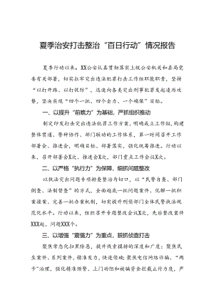 公安夏季治安打击整治专项行动走深走实情况报告13篇.docx