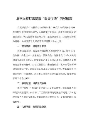 派出所2024年夏季治安打击整治行动开展情况报告19篇.docx