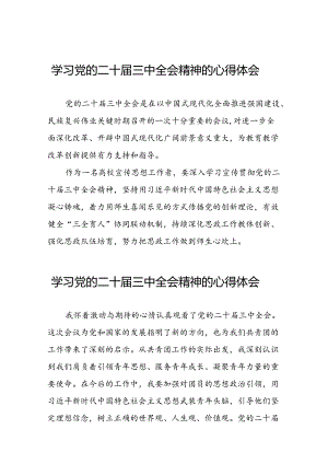学习党的二十届三中全会精神的心得体会简短发言31篇.docx