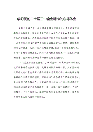 (最新版)学习党的二十届三中全会精神的心得感悟三十篇.docx