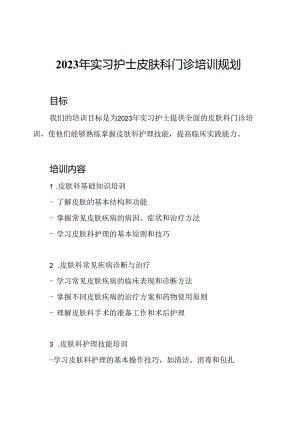 2023年实习护士皮肤科门诊培训规划.docx