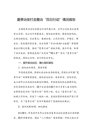 派出所开展2024年夏季治安打击整治“百日行动”情况总结报告十六篇.docx