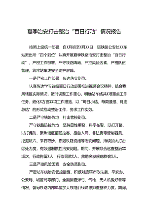 十二篇2024年夏季铁路治安打击整治“百日行动”总结报告.docx