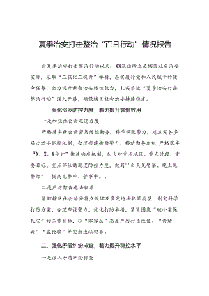 公安全面推进夏季治安打击整治集中行动情况报告(13篇).docx
