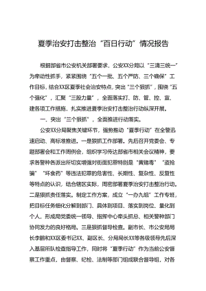 公安分局扎实推进2024年夏季行动纵深开展工作总结十二篇.docx