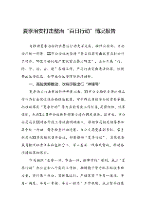 派出所2024年公安夏季治安打击整治行动情况汇报十八篇.docx