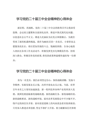 党的二十届三中全会精神的学习体会发言稿28篇.docx
