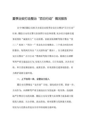2024夏季治安打击整治“百日行动”情况汇报十篇.docx