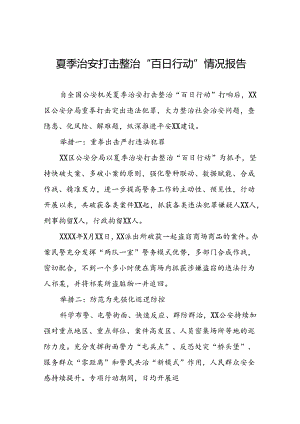 县公安2024年推进夏季治安打击整治行动工作汇报19篇.docx