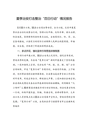 县公安2024年夏季行动工作总结十八篇.docx
