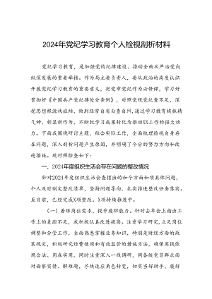 2024年党纪学习教育专题组织生活会问题查摆对照检查材料(13篇).docx