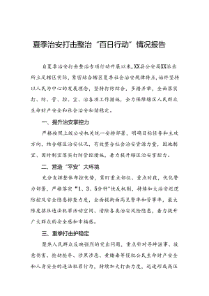 九篇2024年公安机关夏季治安打击整治行动情况报告.docx