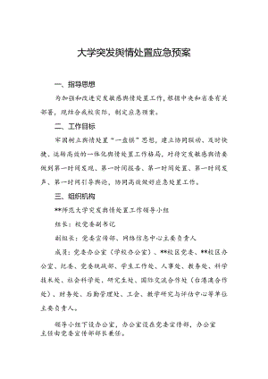 大学突发舆情处置应急预案.docx