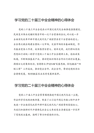 学习2024年二十届三中全会精神心得体会四十四篇.docx