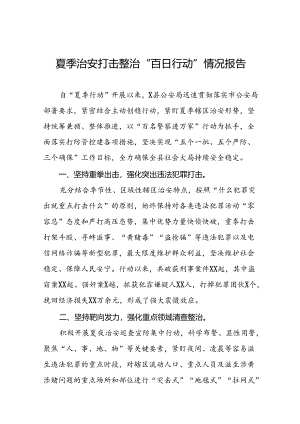 县公安2024年推进夏季治安打击整治行动工作汇报十八篇.docx