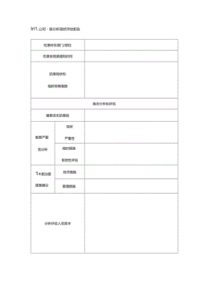 有限公司隐患分析和现状评估报告.docx