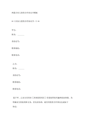 两篇合伙人投资合作协议书模板.docx