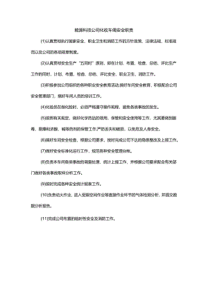 能源科技公司化验车间安全职责.docx