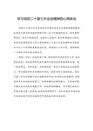 学习贯彻2024年二十届三中全会精神心得体会模板二十七篇.docx