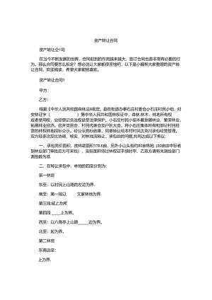 资产转让合同.docx