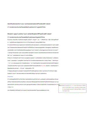 Identification and molecular characterization of Powdery Mildew of Clematis manshurica Caused by Erysiphe aquilegiae in China.docx
