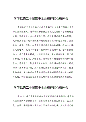 党员干部学习贯彻党的二十届三中全会精神心得体会优秀模板六十篇.docx