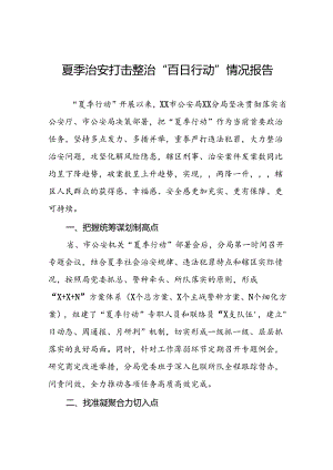 公安分局推动夏季治安打击整治行动走深走实工作汇报十二篇.docx