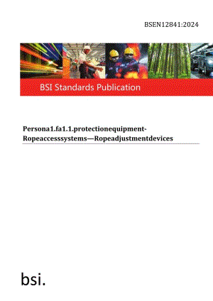 BS EN 12841-2024.docx