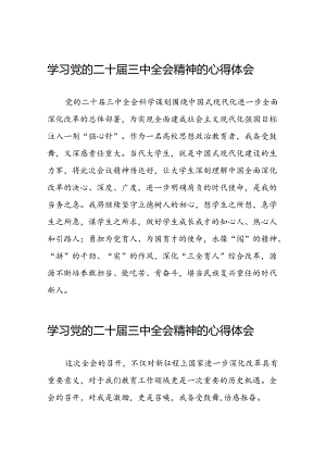 (精选)党的二十届三中全会精神学习心得体会三十篇.docx