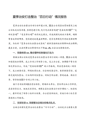 公安夏季治安打击整治工作总结报告八篇.docx