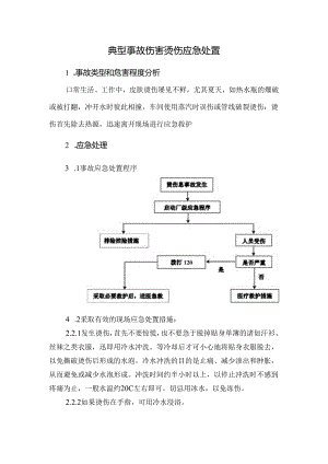 典型事故伤害烫伤应急处置.docx