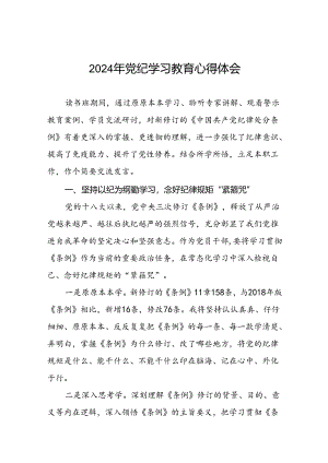 2024年党纪学习教育研讨发言材料精选合集(十五篇).docx