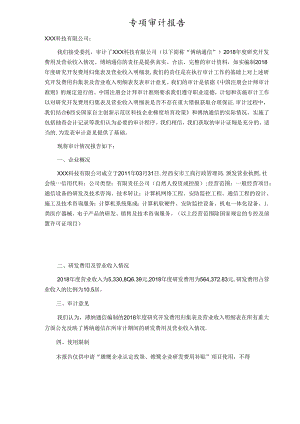 专项审计报告.docx